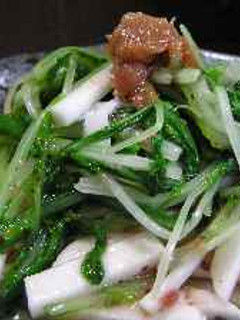 水菜と長いもの梅酢のもの-レシピのメイン写真