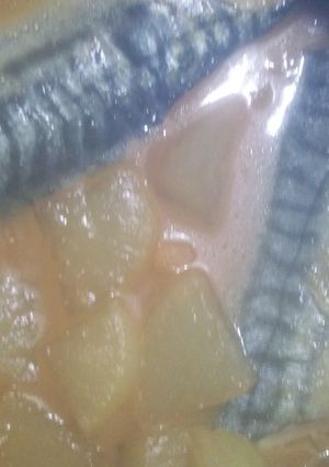 さばの味噌煮-レシピのメイン写真