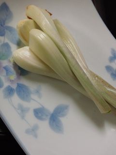 エシャロット~味噌マヨ~-レシピのメイン写真