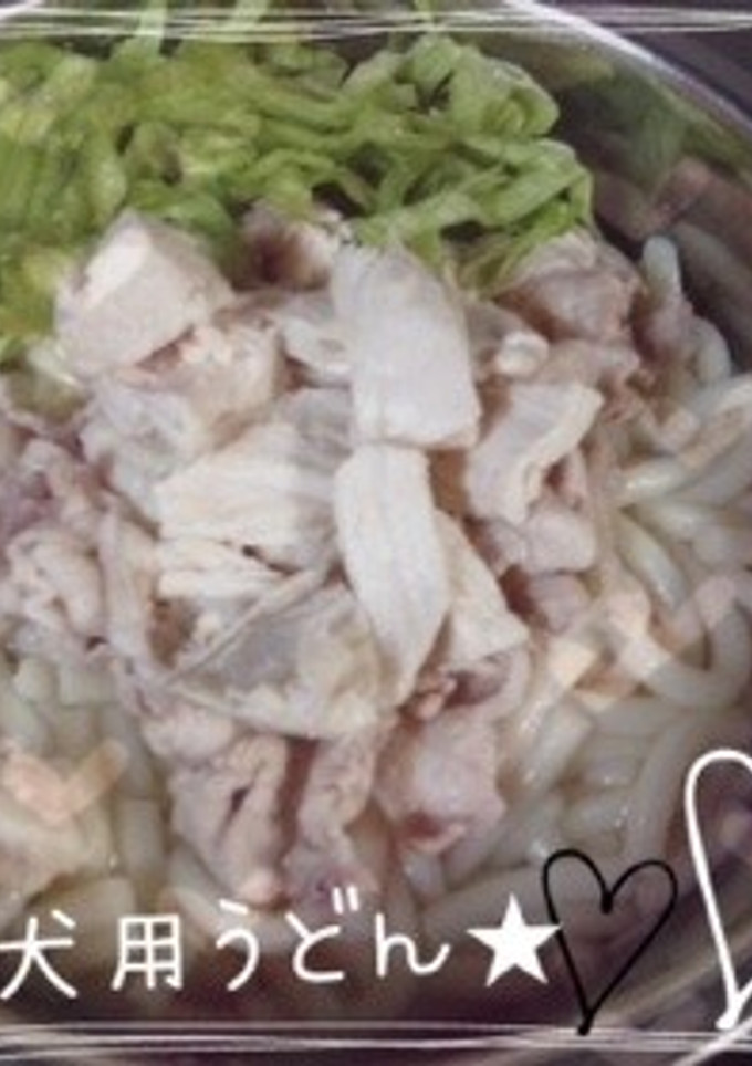 犬用うどん★-レシピのメイン写真