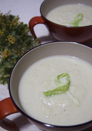 本気の白菜消費に♪白菜のポタージュ-レシピのメイン写真