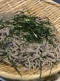 ★３００レシピは蕎麦打ち修行★