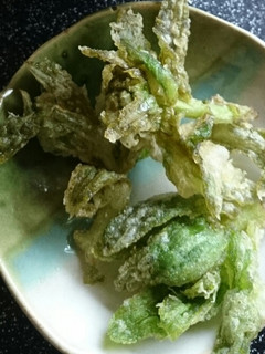 フキノトウ&タラの芽の天麩羅by秘伝の粉-レシピのメイン写真