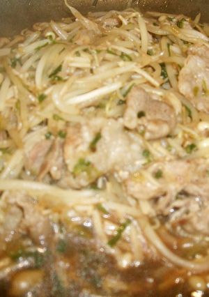 甘めの味付け豚肉、えのき、もやしの炒め物-レシピのメイン写真