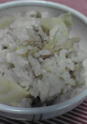 今が旬！筍のご飯-レシピのメイン写真