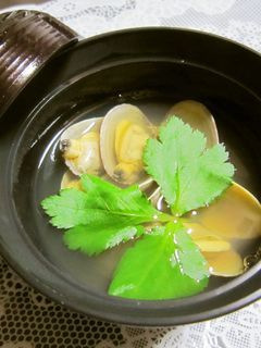 簡単!新玉ねぎとあさりdeお吸い物-レシピのメイン写真