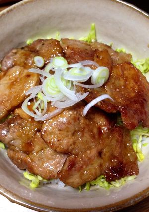 豚丼-レシピのメイン写真