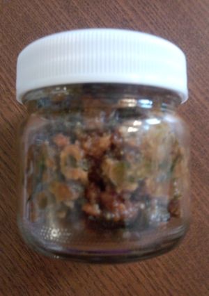 春がきた～♪簡単手作りふきのとう味噌-レシピのメイン写真