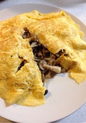簡単☆もやしとひき肉のオムレツ-レシピのメイン写真