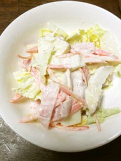 白菜サラダ-レシピのメイン写真