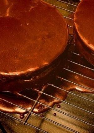 コツ満載*簡単DEMEL風ザッハトルテ-レシピのメイン写真