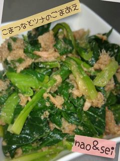 小松菜とツナのごま和え-レシピのメイン写真