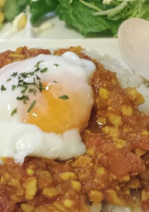 ヘルシーな大豆&鶏挽きのキーマカレー-レシピのメイン写真