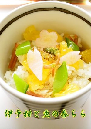 大人カワイイ♥伊予柑と魚の春ちらし寿司-レシピのメイン写真