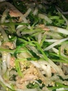 豆苗とツナの大根サラダ-レシピのメイン写真
