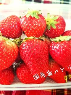 国産いちご*取り扱い説明書*下処理*保存-レシピのメイン写真