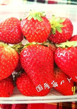 国産いちご*取り扱い説明書*下処理＊保存-レシピのメイン写真
