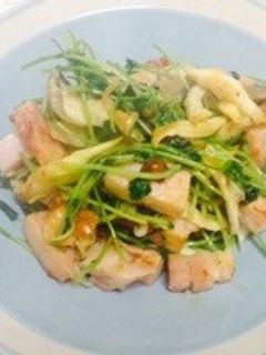 簡単 シンプル 豆苗とベーコン炒め-レシピのメイン写真