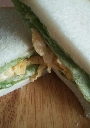 ﾚﾀｽたっぷりサンド-レシピのメイン写真