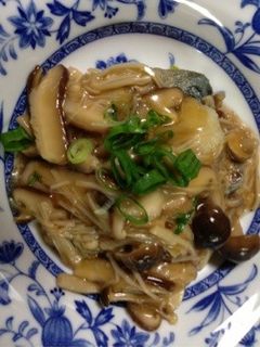 鯖もきのこソースで…-レシピのメイン写真