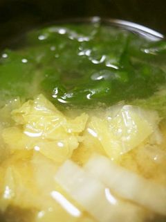 白菜とわかめの味噌汁-レシピのメイン写真