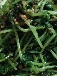 豆苗のゴマ和え-レシピのメイン写真