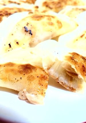 モヤツナチー餃子-レシピのメイン写真