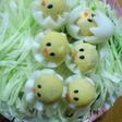 うずらの卵でひよこ♡お弁当に