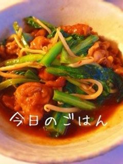 豚小松菜の中華風オイスター炒め-レシピのメイン写真