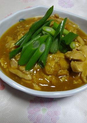 お揚げしみしみ(丼)-レシピのメイン写真