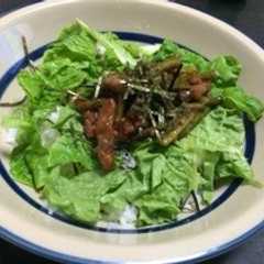 簡単肉丼-レシピのメイン写真