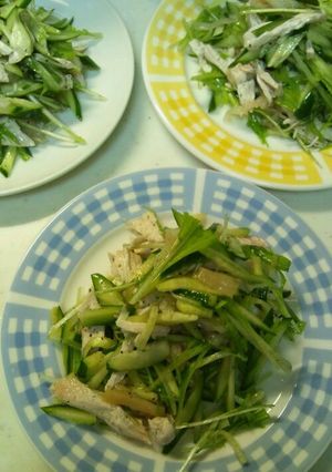 サッパリ水菜とキュウリのサラダ-レシピのメイン写真