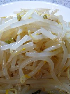 簡単☆もやしのナムル-レシピのメイン写真