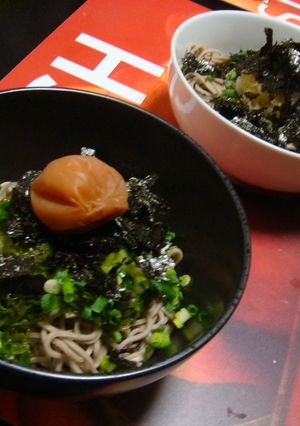 ゜*☆。とろとろ冷たい夏のお蕎麦。☆*°-レシピのメイン写真