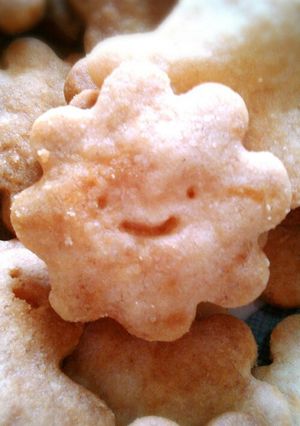 さくさく簡単*カラメルクッキー-レシピのメイン写真