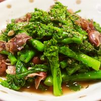 ほたるいか　オリーブ38 ほたるいか様専用 オリーブ38