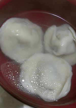 簡単★ロシアの水餃子ペリメニ-レシピのメイン写真