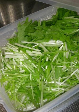 水菜の保存方♪-レシピのメイン写真