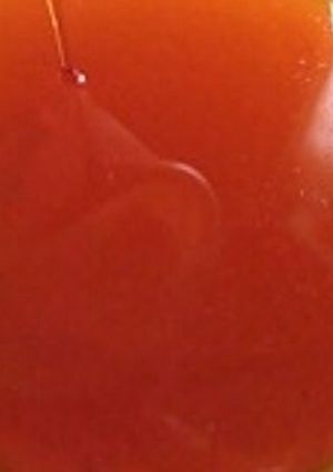 保存版☆カラメルソース-レシピのメイン写真