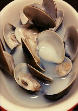 超簡単！はまぐりの白ワイン蒸し-レシピのメイン写真