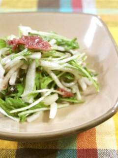 大根と水菜のサラダ-レシピのメイン写真