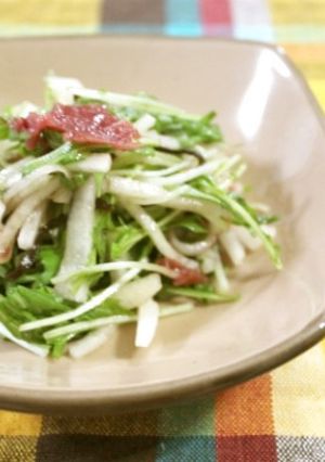 大根と水菜のサラダ-レシピのメイン写真