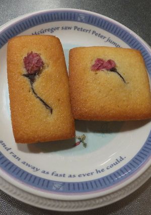 桜フィナンシェ-レシピのメイン写真