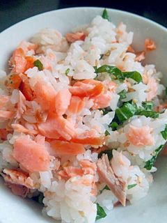 お腹満足!鮭ごはん-レシピのメイン写真