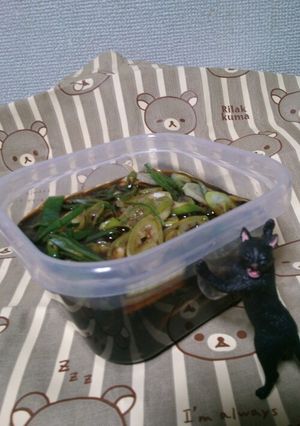 シンプル！ネギの醤油漬け！-レシピのメイン写真
