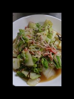 白菜の塩昆布炒め-レシピのメイン写真