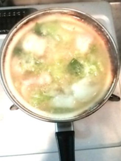 鶏肉と白菜とネギの汁-レシピのメイン写真