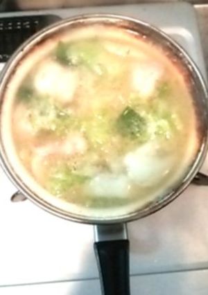 鶏肉と白菜とネギの汁-レシピのメイン写真
