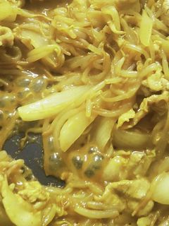 豚肉ともやしのカレー炒め-レシピのメイン写真