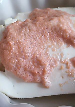簡単塩豆腐明太マヨ焼き-レシピのメイン写真